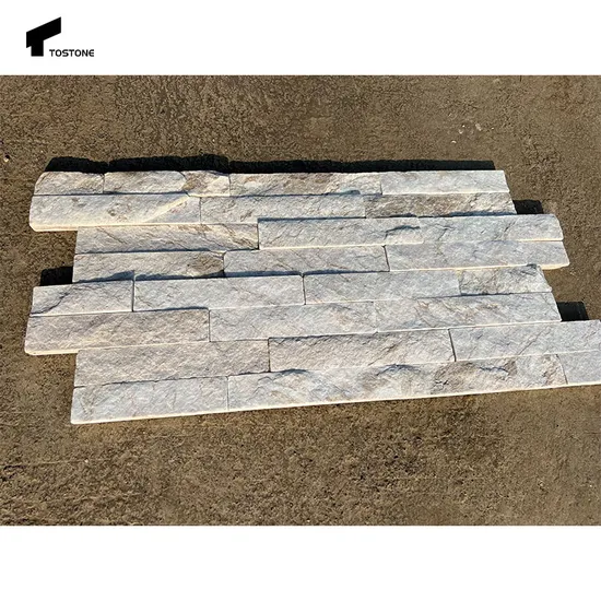 Decorazione murale esterna Ardesia Pietra naturale culturale Zf